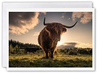 Neil Barr Highland Cow/Coo - Scotland Greeting Card by Scottish Landscape Photographer Blank Inside