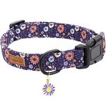 Faygarsle Floral Dog Collar for Girls and Female Dogs Soft and Fancy Pet Collar with Flower Design Ideal Purple Dog Collar for Small Medium Large Dogs M