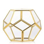 Glass Geometric Terrarium Container,Brass Glass，Glass Flower Pot Planter Vase Bowl Indoor Succulent Fern Moss Air Plants,Display Box Decor Table Window Sill Balcony ，Football Shape