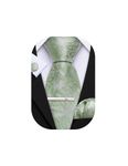 Barry.Wang Sage Green Ties Men's Skinny Paisley Wedding Necktie Silk Handkerchief Cufflinks Tie Clip Set 4PCS for Formal Prom