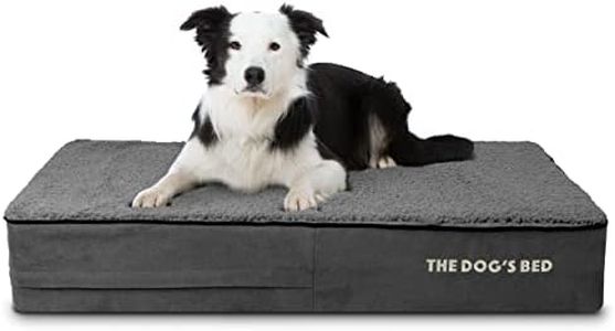 The Dog’s 