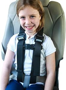 EZ-ON Products Durable 43YC. One Size Fits Most. Converts Personal Vehicle Lap or Lap/Shoulder Seatbelts Into a 5-Point Securement. User-Friendly Vest. No Mount Needed. Meets NHTSA Regulation.