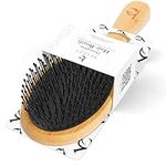 Detangler Brush Hair Brush - Hair Brush for Men, Hair Brush for Women, Use as a Wet Brush, Dry Detangling Hair Brush, or with Hair Products, Hair Detangler, Mens Hair Brush, Oval Paddle Brush