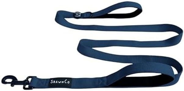 ShawnCo Dream Walk Dog Leash- Premium, Nylon Pet Leash with Soft Neoprene Handle for Small, Medium and Large Dogs (Pacific Blue, M/L 6FT w/ 2 Handles)