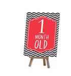 Alterego Baby Milestone Cards with Easel Stand - Multi color (Pack of 26 Cards - 6 * 4 in and one mini easel stand)