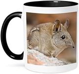 3dRose 3dRose Cape Elephant Shrew,