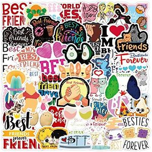 50PCS Best Friends Stickers, Friendship My Best Friend Waterproof Vinyl Stickers for Laptop Water Bottle Skateboard Guitar Computer Bumper Decals for Kids Girls Boys Adults (Best Friends)