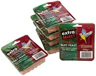 Extra Select Wild Bird High Energy Suet Block Wild Berry, 320 g (Pack of 6)