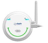 Ripple Smart Gas Leak Detector, SGLD, WiFi and 4G Connectivity, Kitchen Safety
