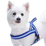 Blueberry Pet Soft & Comfy 3M Reflective Jacquard Padded Dog Harness, Chest Girth 25.5" - 31.5", Palace Blue, M/L, Adjustable Harnesses for Dogs