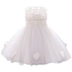 OBEEII Baby Girl Flower Lace Princess Party Dress Bowknot Communion Birthday Full Moon Wedding Evening Formal Prom Dresses White 6-12Months