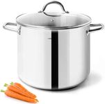 HOMICHEF 10 Quart Stock Pot With Gl