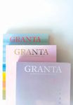 Granta 130: India: Another Way of Seeing (Granta: The Magazine of New Writing)