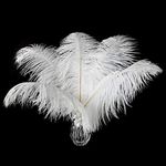 24pcs Natural White Ostrich Feather