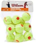 Wilson Starter Tennis Balls , Yello