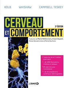 Cerveau et