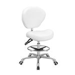 Kaleurrier Adjustable Stools Drafting Chair with Backrest & Foot Rest,Tilt Back,Peneumatic Lifting Height,Swivel Seat,Rolling wheels,for Studio,Dental,Office,Counter,Home Desk Chairs (White)