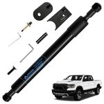 ARANA Truck Tailgate Assist Black Shock Strut 43301 Kit Fit for 2009-2018 Dodge Ram 1500, 2019+ Dodge Ram 1500 Classic, 2010+ Dodge Ram 2500 3500