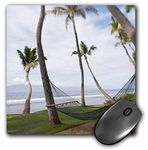 3dRose mp_89190_1 8 x 8-Inch Hammock Under Hawaiian Palm Trees, Maui, Hawaii - Us10 Jgs0039 - Jim Goldstein Mouse Pad