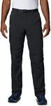 Columbia Men's Silver Ridge Cargo Pant, Black, 34W x 32L