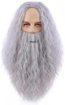 MAGQOO Mens Wig and Beard Long Curly Grey Wig Mens Gray Cosplay Halloween Costume Wig (Grey)