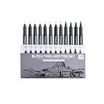 Riancy Precision Micro-Line Pens,12 Set Fineliner Black Ink Pens Professional Multiple Tips Waterproof Archival Ink for Technical Sketching Office Anime Artist Illustration