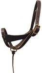 Tack Shack of Ocala Leather Figure 8, Newborn Foal Halter, Brown, with Grab Strap and Two Size Crowns