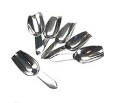 6PC Spice Spoons Mini Masala Dabba Indian Spice Tin Spoons Scoops Stainless Steel Mini Salt Sugar Loose Leaf Tea Coffee Seasoning Herbs Spoons Short Handle Mini Candy Scoops