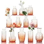 Sawoake Mini Bud Vases Set of 12 As Wedding Centerpieces for Tables,Clear Bud Vases for Flowers,Small Flower Vases Suitable for Birthday Party,Anniversary,Wedding Reception,Baby Shower (Pink-12PCS)