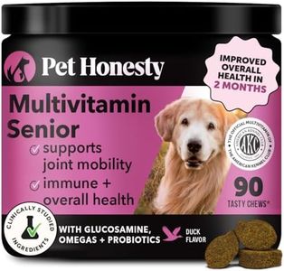 Senior Dog