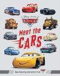 MEET THE CARS