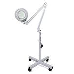 Floor Lamp With Magnifiers