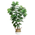 Joyplants Artificial Fiddle Leaf Fig Tree, Natural 6ft Indoor Fake Ficus Lyrata Plant for Home Office, Indoor Outdoor Decorative Faux Trees with Baskset