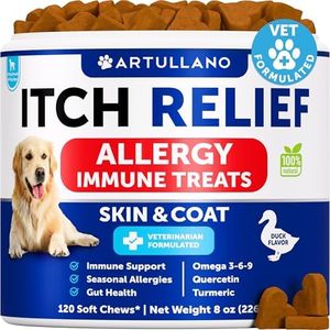 Dog Allerg