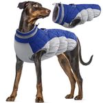 Dog Winter Coat, Dog Snowsuit Warm Windproof Dog Down Jacket Puffer Coat Fleece Winter Vest for Dogs Cold Weather Coat for Small Medium Large Dogs(Blue, L)