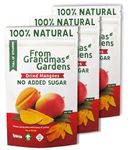 Dried Mango - From Grandmas Gardens | 3 x 100g | Healthy Vegan Snack | 100% Natural | No Added Sugar | Rich in Vitamins | No Preservatives | GMO free