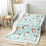 Feelyou Cartoon Cat Sherpa Blanket for Kids Kitten Cat Plush Blanket for Bed Sofa Couch Pet Cats Fleece Throw Blanket Animal Fuzzy Blanket Queen 90"x90"