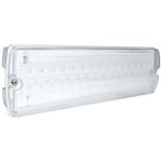 Eterna YESSS LED Maintained Emergency Bulkhead, Multi