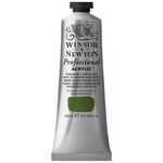 Winsor & Newton 2320503 60 ml Professional Acrylic Colour - Permanent Sap Green