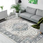 8x10 Area Rugs for Living Room, Vintage Boho Rug Non-Shedding Carpet Non-Slip Rug Stain Proof Washable Rug for Dining Room Bedroom Entryway Kitchen