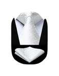 HISDERN White Tie and Pocket Square Set Mens Wedding Plaid Neck Ties For Formal Business