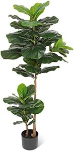 FLOWORLD F