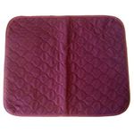 NRS Healthcare Chair Pad Incontinence Protection - Wine (Eligible for VAT Relief in The UK)