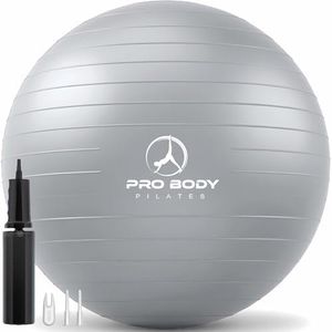 ProBody Pilates Exercise Ball - Multiple Sizes Gym Grade Balance Ball for Fitness, Workout, Pregnancy & Physical Therapy, Stability Yoga Ball Chair (Silver, 65 cm)