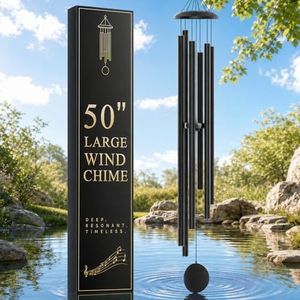 50" Extra 