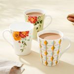 Home Centre Mandarin Harvey Set of 3 Bone China Printed Coffee Mugs - 340ml