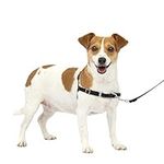 PetSafe Easy Walk No-Pull Dog Harness - The Ultimate Harness to Help Stop Pulling - Take Control & Teach Better Leash Manners - Helps Prevent Pets Pulling on Walks - Small, Charcoal/Black