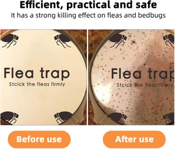 Dome Electric Flea Trap 4-Pack – Indoor Pest Control Solution