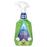 Mould Remover