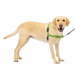 PetSafe Easy Walk No-Pull Dog Harness - The Ultimate Harness to Help Stop Pulling - Take Control & Teach Better Leash Manners - Helps Prevent Pets Pulling on Walks - Large, Green